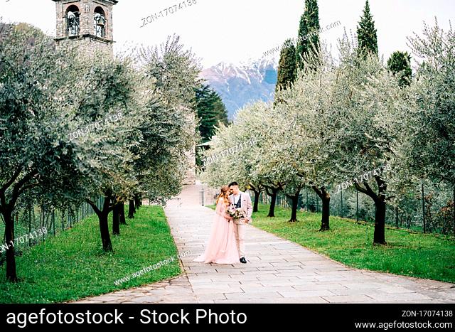 Newlyweds walk in an olive grove against the background of an old tower with bells on Lake Como. Side view. High quality photo