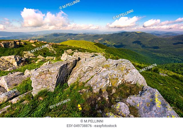 Carpathian mountains with grassy slopes and rocks. beautiful mountainous landscape in summer