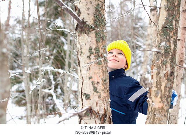Boy in yellow knit hat looking up at tree in snow covered forest