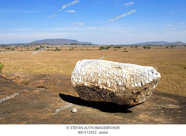 Gong Rock at Muru Kopjes Serengeti National Park Tanzania