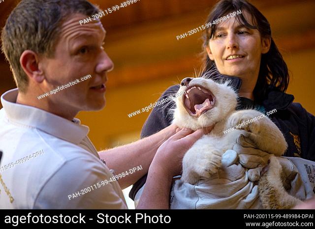 15 January 2020, Saxony-Anhalt, Magdeburg: Veterinarian Niels Mensing (l.) and the animal keeper Susann Paelecke examine a small white lion