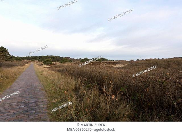 Footpath in the west on Wangerooge, Wangerooge, island, Germany, Lower Saxony, Friesland / Frisia, winter