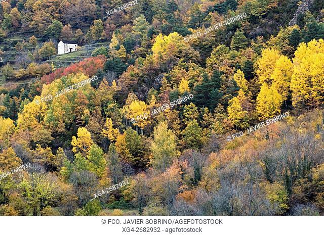 Bosque mixto caducifolio - Torla - Ã. rea de protección del Parque Nacional de Ordesa y Monte Perdido - Sobrarbe - Huesca - Pirineo Aragones - Aragon - España -...