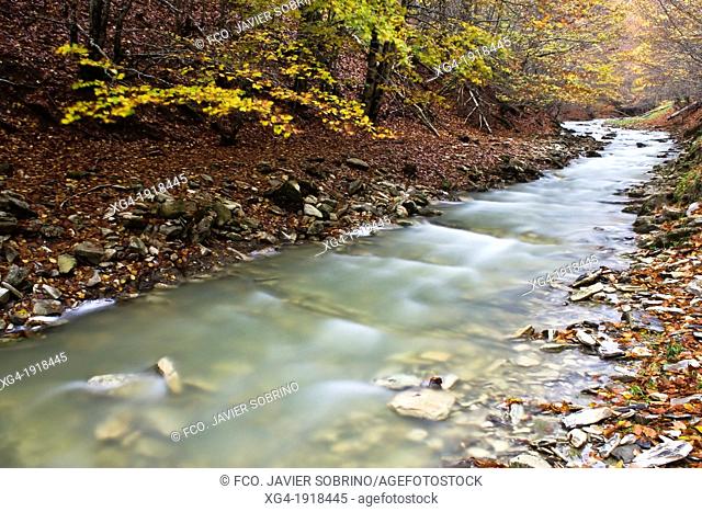 Uztarroz creek - Puerto de Laza - Uztarroz - Roncal Valley - Erronkari - Navarre Pyrenees - Navarra - Spain - Europe