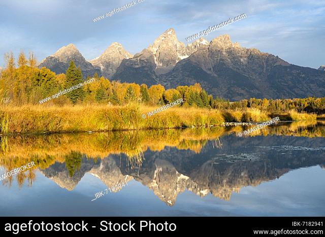 Autumn landscape with Grand Teton Range mountains, in morning light, reflected in the river, Snake River, Grand Teton and Middle Teton peaks