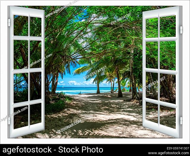 open windows with a view of green tree sea by bright sunshine