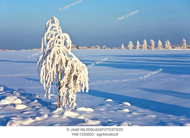 Winter, Tartu County, Estonia, Europe