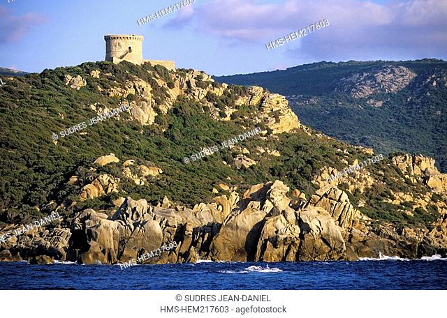 France, Corse du Sud, near Propriano, the rocky coast towards the Pointe de Campomoro and its Genoese tower