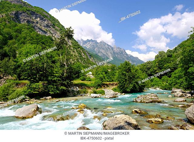 River Valbona, Valbona Valley, Valbona National Park, Albanian Alps, Prokletije, Qar Kukes, Albania