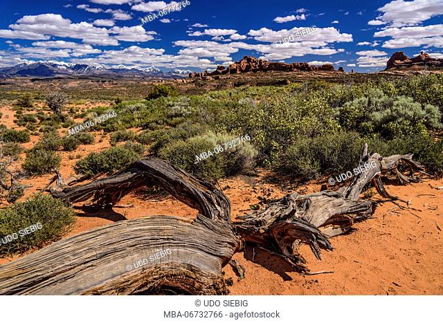 The USA, Utah, Grand county, Moab, Arches National Park, La Sal Mountains and Garden of Eden