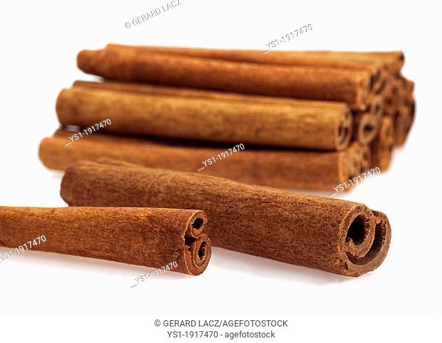 Cinnamon, cinnamomum zeylanicum, Bark against White Background