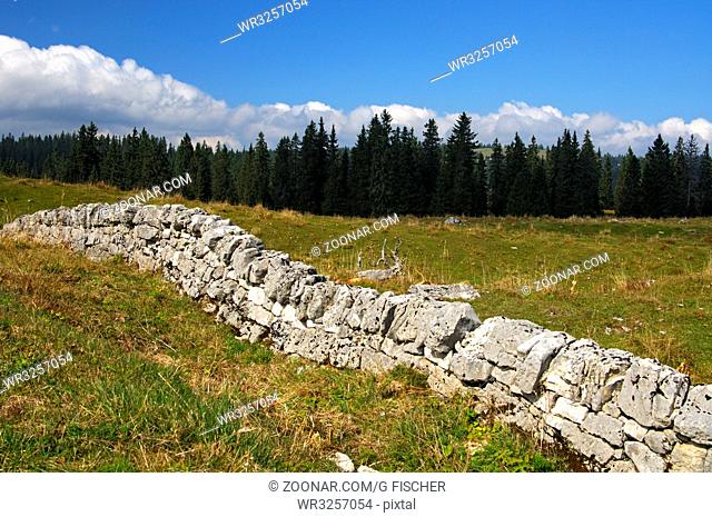 Trockenmauer, traditionelle Weideeinzäunung im Jura, Col du Marchairuz, Kanton Waadt, Schweiz / Dry stone wall, traditional pasture fencing in the Jura region