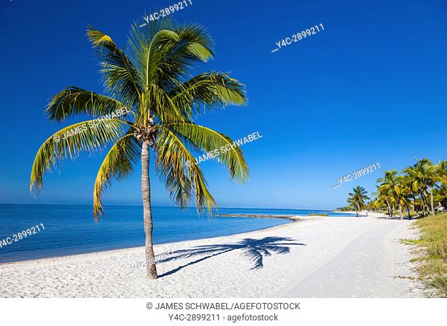 Tropical Palm trees on clean white sand Smathers Beach in Key West