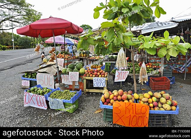 Street vending of fruit, between Monte-Verde and San-Jose, Alajuela Province, Costa Rica, Central America