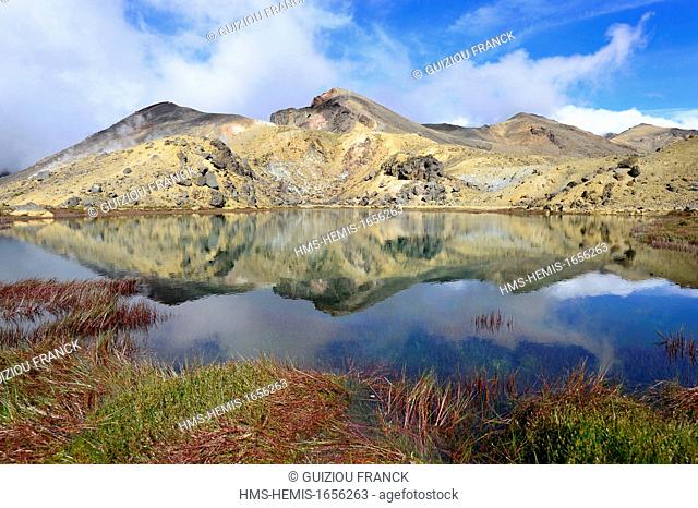 New Zealand, North Island, Tongariro National Park is the first national park in New Zealand and the fourth to emerge globally (UNESCO World Heritage) ; the...