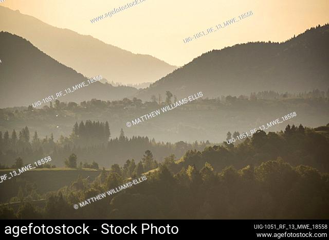 Misty sunrise in the Carpathian Mountains near Bran Castle, Pestera, Transylvania, Romania