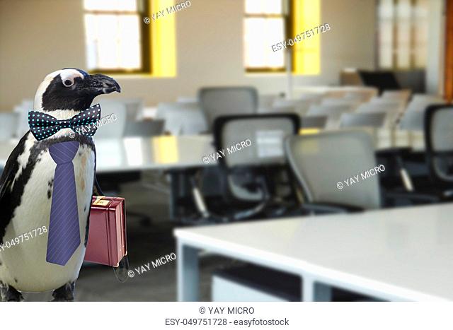 Funny business or school teacher concept of a penguin dressed in a tie and wearing a suitcase standing in a office or class room
