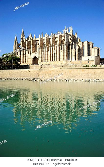 La Seu cathedral behind a pool in the park Parc de la Mar, old town, Ciutat Antiga, Palma de Mallorca, Majorca, Balearic Islands, Mediterranean, Spain, Europe