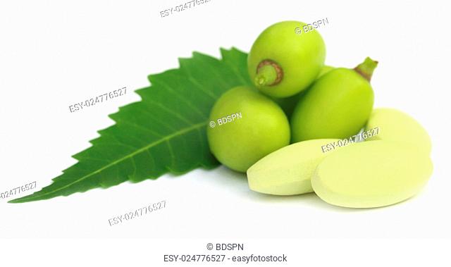Medicinal neem fruits with tablets over white background