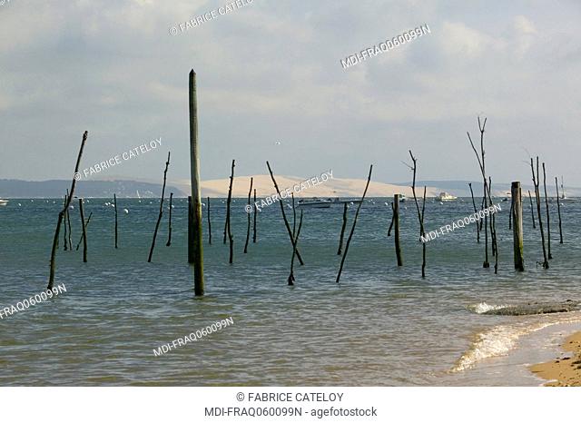 The Dune of Pyla from the oyster parks of the Lege Cap Ferret peninsula