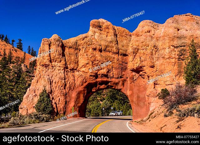 The USA, Utah, Garfield County, Dixie National Forest, Panguitch, Red canyon, Scenic Byway 12