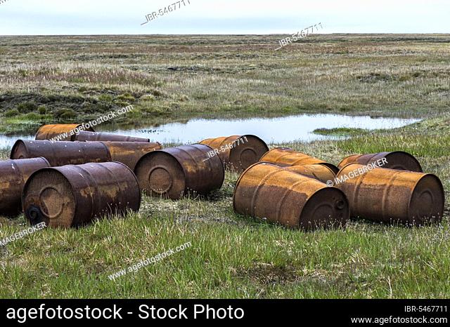 Rusted barrels in the tundra, Mammoth River, Wrangel Island, Russian Far East, Unesco World Heritage Site