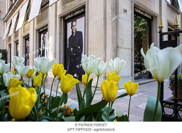 BED OF YELLOW AND WHITE TULIPS IN FRONT OF THE GIORGIO ARMANI SHOP, AVENUE MONTAIGNE, 8TH ARRONDISSEMENT, PARIS, FRANCE
