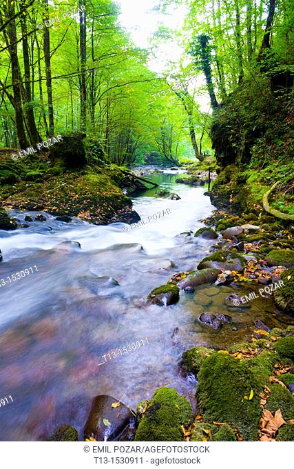 Small river Curak, long exposure tripod shot, 'Zeleni vir' protected park near Skrad in Croatia