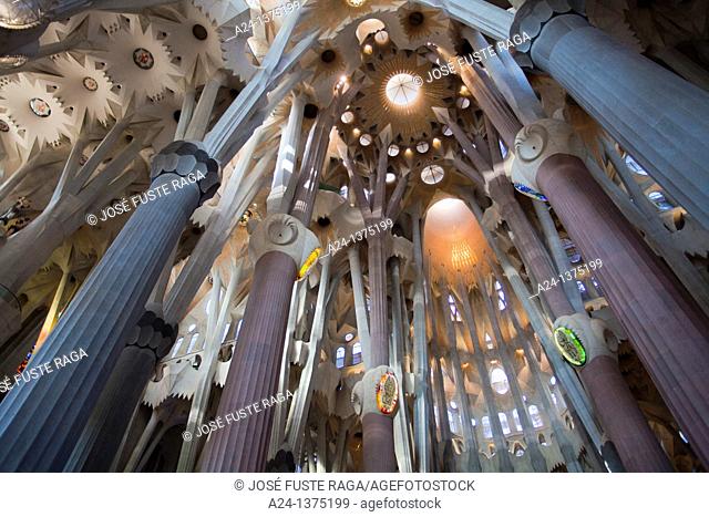 Spain, Catalonia, Barcelona City, Sagrada Familia Temple inside, Roof