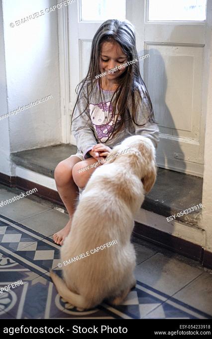 Golden Retriever puppy and little girl at the window of the living room are exchanging caresses