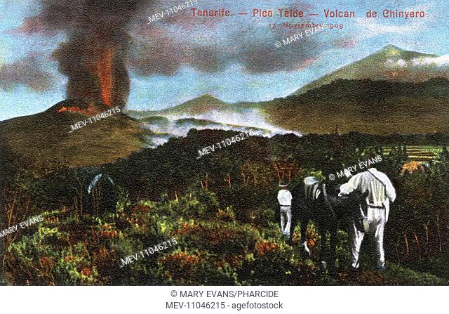 Eruption of Mount Teide, Tenerife, Canary Islands, 17 November 1909. The eruption was from the El Chinyero vent on the Santiago Ridge