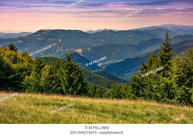 forested hills over the Brustury valley at sunset. gorgeous mountainous landscape, TransCarpathia, Ukraine