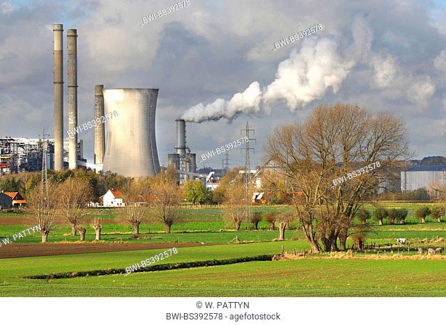 electric power plant and pastures, Belgium