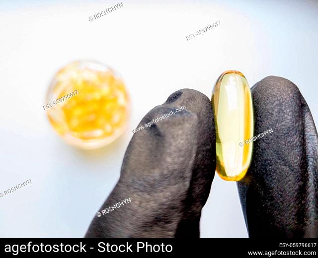 fish oil capsules in hand in a black medical glove on a white background, the hand takes one tablet from a saucer or plate