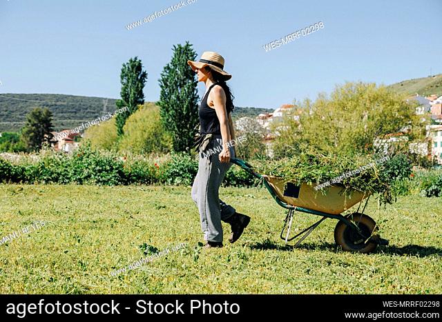 Farm worker wearing hat pulling wheelbarrow in field