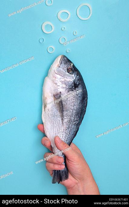 Man Holding Dorada Fish Swimming. Underwater Air Bubbles from Onion Rings
