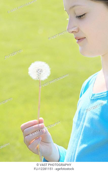 Girl holding dandelion seed head; Toronto, Ontario, Canada