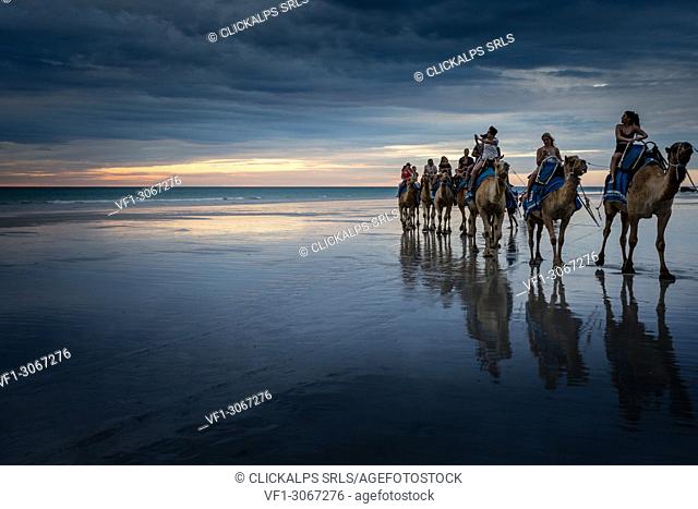 Camel tour ride at Cable Beach, Broome, Kimberley, Western Australia