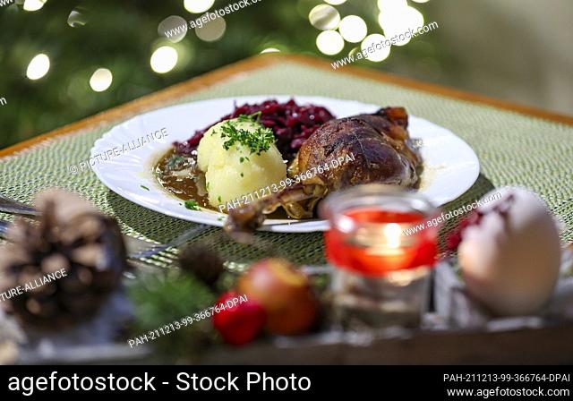 13 December 2021, Saxony, Wermsdorf: A portion of goose leg with red cabbage and dumplings stands on a table in the restaurant of the Eskildsen goose farm