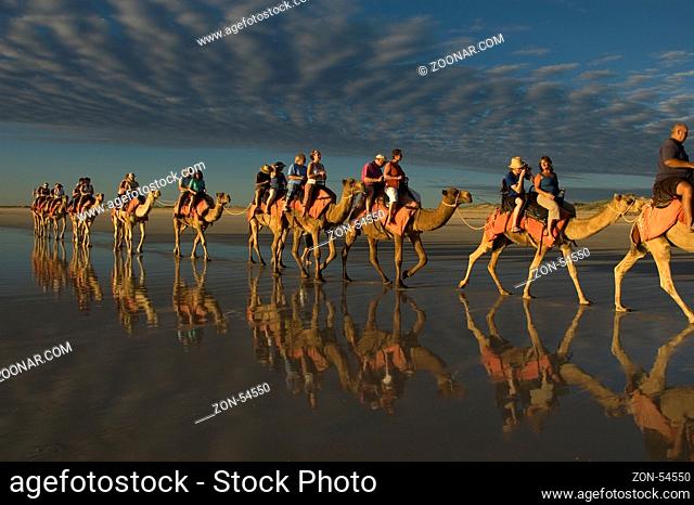 Kamelkaravane am Strand, Broome, Australien | Camel caravan, Cable beach, Broome, Australia