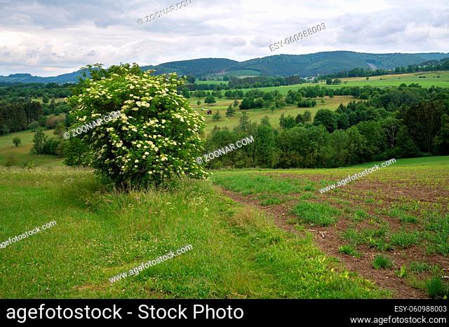 Panoramic image of the landscape close to Winterberg, Sauerland region, Germany