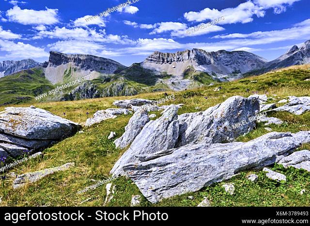 Mountains and grasslands landscape view. Valles Occidentales Natural Park. Hecho valley. Pyrenees mountain Range, Huesca, Aragon, Spain, Europe