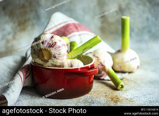 Fresh garlic bulbs in a pot