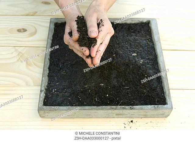 Handful of gardening soil above a tray full of dirt