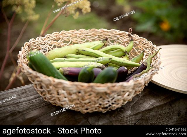 Close up fresh harvested vegetables in basket
