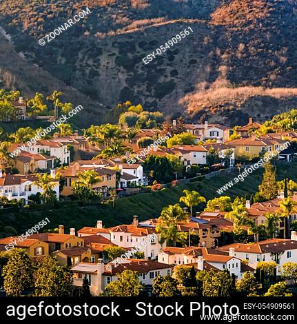 San Clemente homes on a sunny hill in California. View of beautiful homes with yards and trees on a grassy hill illuminated by sunlight