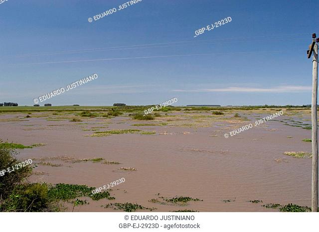 Flooded sandbank, Flood, Pântano Grande, Rio Grande do Sul, Brazil