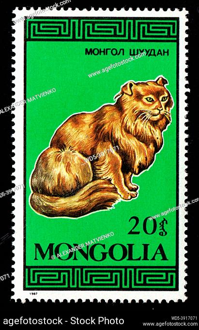 Mongolia - CIRCA 1987: Mongolian postage stamp dedicated to thoroughbred cat. Feline. Pet imaged on postal stamp