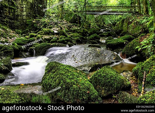 Kennall River in Kennall Vale Nature Reserve, Ponsanooth, Cornwall, United Kingdom
