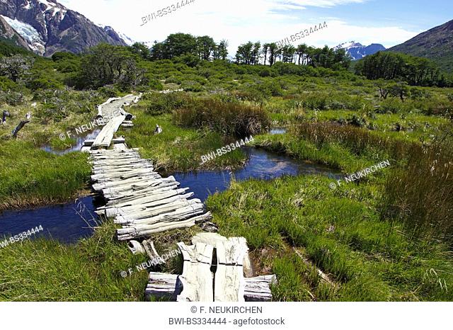 boarded footpath through moorland below Fitz Roy near Camp Poincenot, Argentina, Patagonia, Andes, Los Glaciares National Park